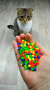 618K views · 4.5K reactions | Beads  Cat Barsik ❤ Satisfying Reverse Video ASMR #reverse #marblerunandmore #asmr | Marble Run And More | Facebook