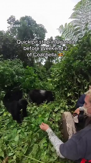 Uganda Countryside & Coachella Weekend 2 Prep