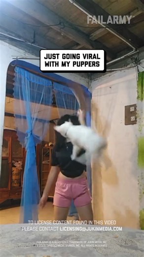 FailArmy on Instagram: "you love going viral! yes you do! yes you do! 🐶 😩 🤣 #dog #dogfail #funnydog #dancingfail #dancefail #trendfail #dogsofinstagram #fail"