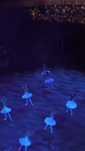 Tchaikovsky's Dance of the Little Swans #classicalmusic #liveorchestra #concert #swanlake #ballet