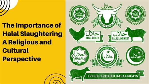The Importance of Halal Slaughtering A Religious and Cultural Perspective | Eruis Equipment