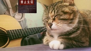 Love me tender | Elvis presley