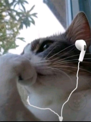 Descubra bandas como Slipknot: Rock Alternativo Em Alta