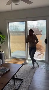 3.5M views · 7.9K reactions | Wild Buck Crashes Through Family’s...