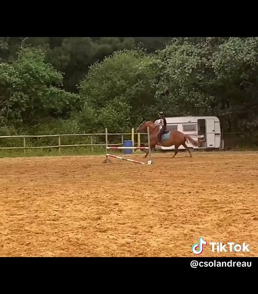 Scène de chute hilarante: Cheval perd son filet en plein tour!
