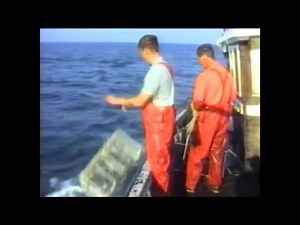 Trawl Door Setup (2017)