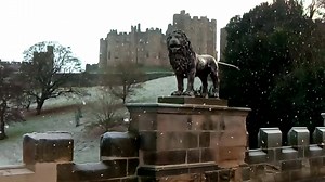 5.7K views · 249 reactions | A few snow flakes falling in Alnwick reminds us that we love to see your weather pictures....do send them in! | Northumberland Gazette | Facebook