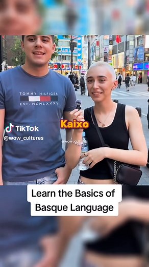 Learn the Basics of Basque Language