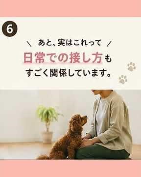 🐩Puppy Love Dog Training Setagaya🐩 #ProblemBehaviors #Barking #Biting #PottyTraining #LeashPullin...