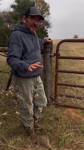 25K views · 14K reactions | Sometimes you can have the best, most...