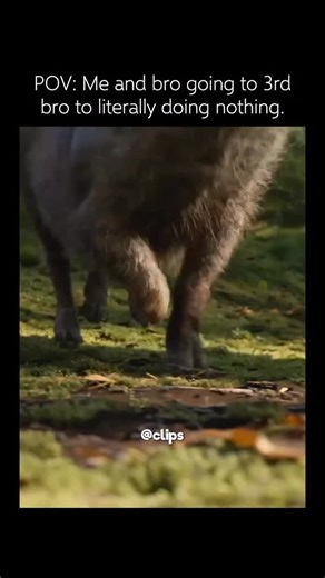 CLIPS on Instagram: " Interesting fact: In The Lion King (2019), the filmmakers didn’t use traditional animation — they created the whole movie with virtual reality filmmaking tools. The actors and crew “walked through” the digital savanna using VR headsets to block scenes, choose camera angles, and rehearse performances, making it feel like a real live‑action set even though everything was CGI."
