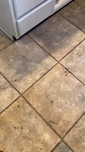 #floorcleaning #floorscrubbing #scrubs #cleaningasmrvideo #cleantok #beforeandafter