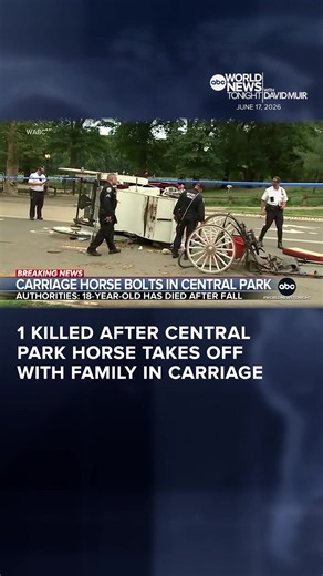 One of Central Park's iconic carriage horses bolted, taking off with a family of tourists inside. Police say an 18-year-old victim who fell from the carriage has died from his injuries. Matt Rivers has details.