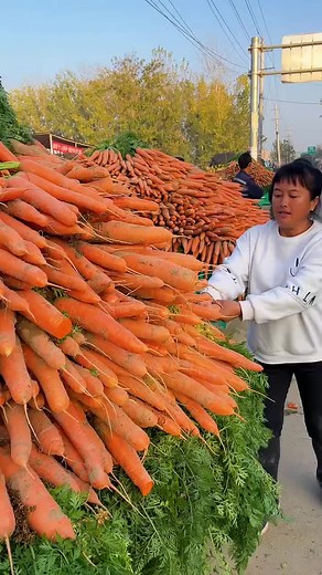 Awesome harvesting carrots from farmers and rural farming life #agriculture | OMG Funny