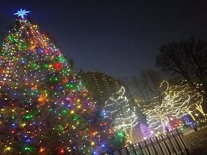 Edison's Annual Tree Lighting Ceremony Set For Dec. 2