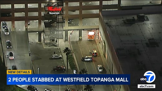 2 stabbed during robbery attempt at Los Angeles mall during busy shopping season