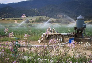 Stanford researchers highlight steps toward sustainable groundwater management in California