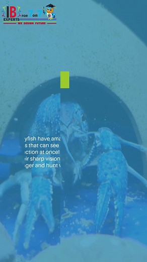 Did you know these amazing facts about crawdads.mp4