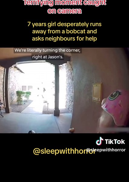 Terrifying Bobcat Encounter: Little Girl's Scary Moment