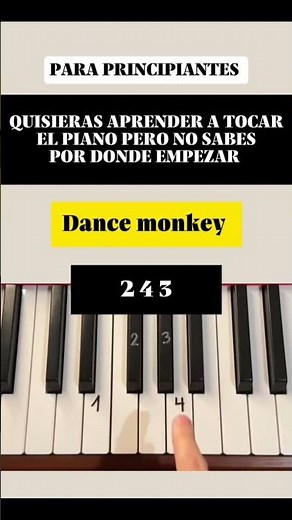 LEARN TO PLAY THE PIANO FROM SCRATCH 🎹 #learnpiano #piano #pianolovers #music #pianotutorial