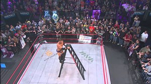 Austin Aries Out Of The Dog House With TNA? - StillRealToUs.com