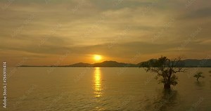The beauty of yellow sky was mesmerizing in stunning sunset..Stunning yellow clouds changing form and color at sunset..Majestic sunset landscape Amazing light of nature..mangegrove background..