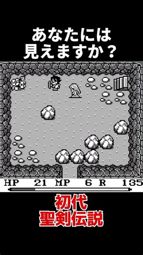Does It Look Like a Bird-Person??【Final Fantasy Adventure】