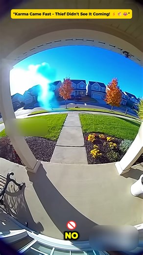 “Karma Came Fast – Thief Didn’t See It Coming! ⚡📦😂” | Barbier ali