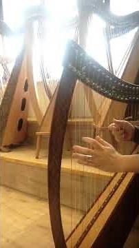 22 String Boru Beginners Harp - Short Demo