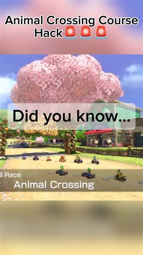 Mariokart Secret You Didn't Know