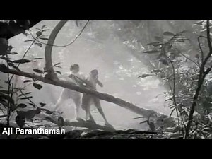 !!!Top 50 Tamil Songs Of All Time In HD (Part 9/9)!!!