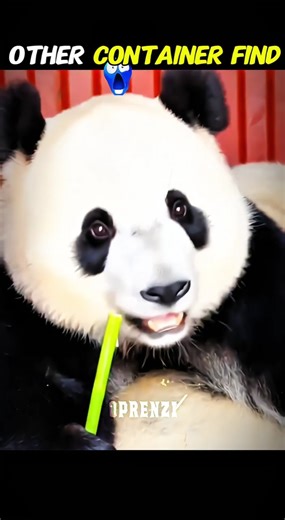 wait for dangerous container find 💀☠️💀