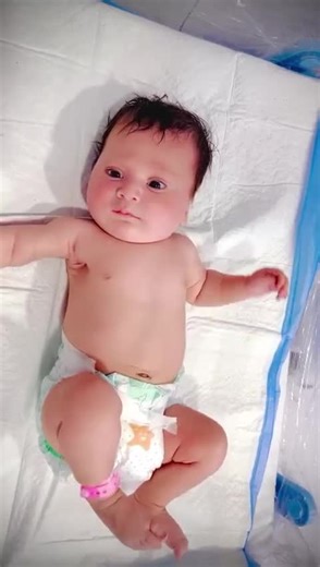 Essential Guide to Newborn Panda Baby Feeding