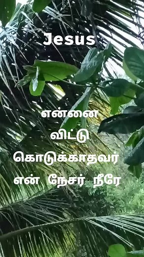 rocket robin (@antonyrobinson5)’s videos with original sound - user466562