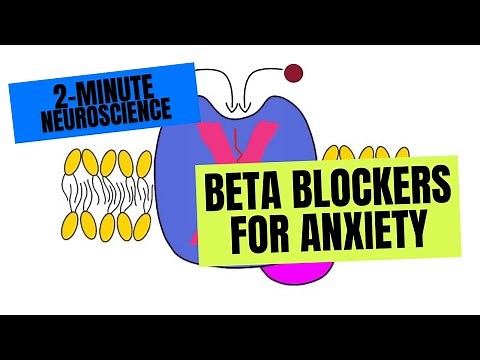 2-Minute Neuroscience: Beta Blockers for Anxiety
