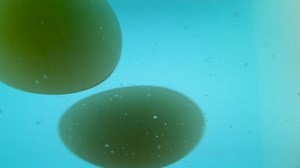 Royalty Free Stock Blue Abstract Video Footage Clip - Vidsplay.com