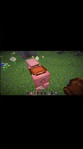We can ride on zombiefied piglin #minecraft #gaming