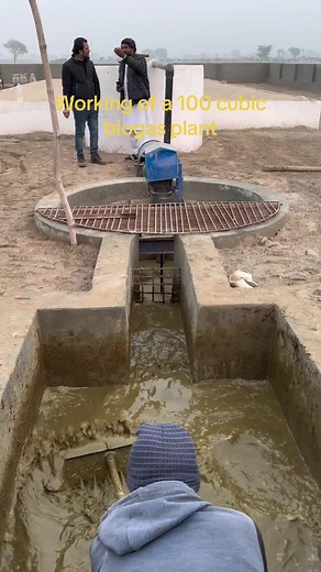 #biogas #dairy #farming #farmlife #jzsdairyfarm #jahanzaibsaifal01 #jzsfarmchowkirango #fypシ #fypage