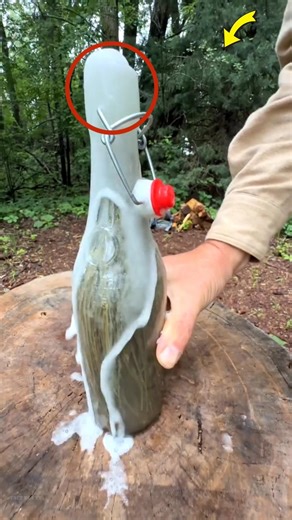 Can You Turn a Pine Tree Into Soda?😱#shorts #ytshorts #viral