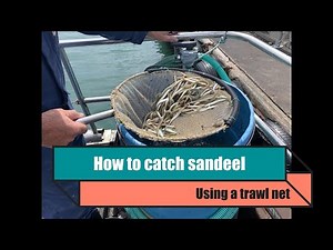 How to catch sandeels in a trawl net.