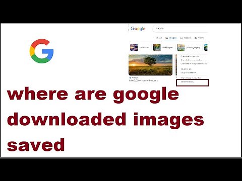 where are google downloaded images saved
