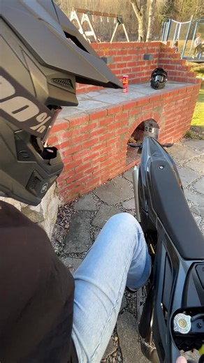 𝐋♏︎ (@l3na.core)’s videos with original sound - General Zodd