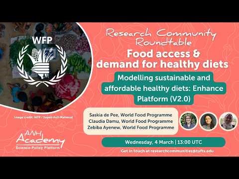 Food Access | Research Roundtable with WFP Enhance