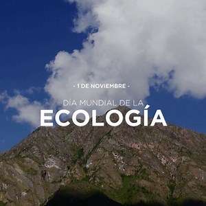 DÍA MUNDIAL DE LA ECOLOGÍA En cada ecosistema se da la interacción entre los seres vivos con su medio físico y la interdependencia de las especies que habitan en él. A través de iniciativas que promueven el uso sustentable de la biodiversidad, trabajamos por un ambiente sano y en armonía. | Ministerio de Ambiente y Desarrollo Sostenible de la Nación Argentina 2019-2023