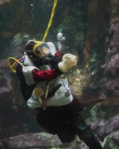 51K views · 43 reactions | Seattle Aquarium on Reels | Facebook