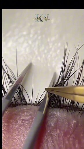 Descubre las Fases de Crecimiento de tus Pestañas y Cómo Cuidarlas