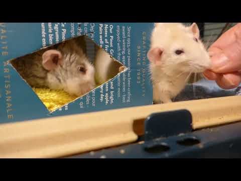 Cracker time wind down P1040605,4