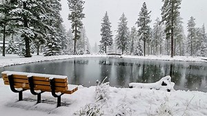 Newest winter forecast increases the chances of lowland snow in western Washington