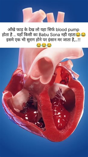 DRX Gautam on Instagram: "Heartbeat ❤️🩺🏥👨🏻‍⚕️... #instareels #foryou #nonfollowersviewers♥️ #nursing_student #medicalstudent"