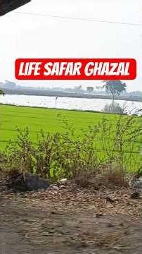 The Most Heartbreaking Ghazals#ghajal #sufighazal #shorts